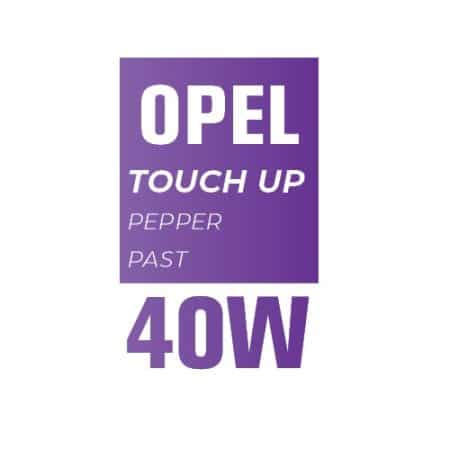 40W - PEPPER PAST