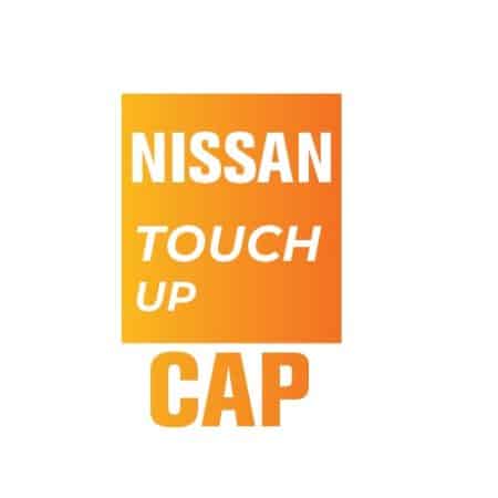 CAP - BRONZE EFFECT