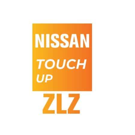 ZLZ - GREYISH BLUE EFFECT