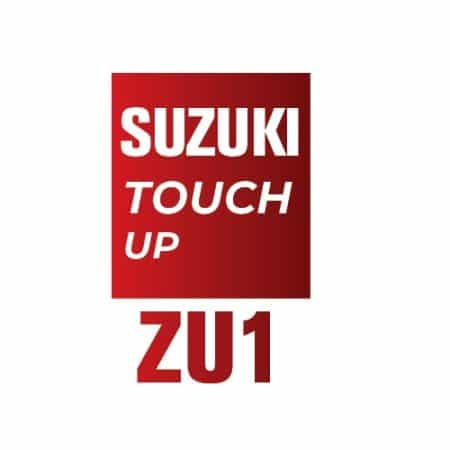 ZU1 - MEDIUM SILVER