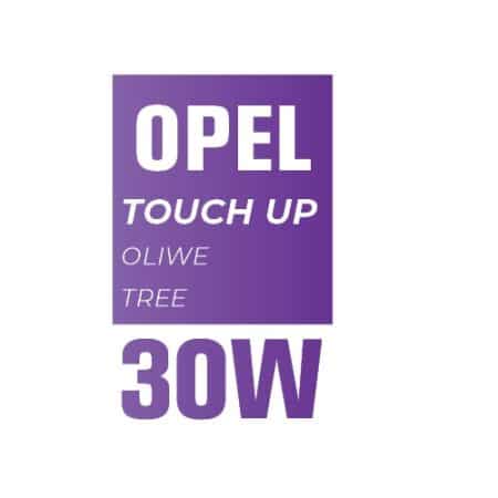 30W - OLIWE TREE