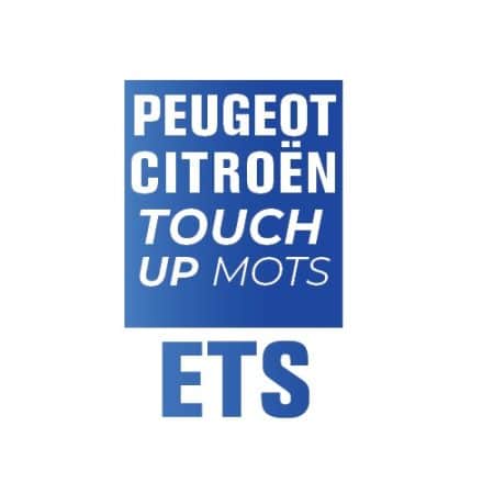 ETS/MOTS - GRIS CENDRE
