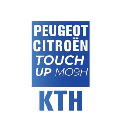 KTH/MO9H - GRIS THORIUM