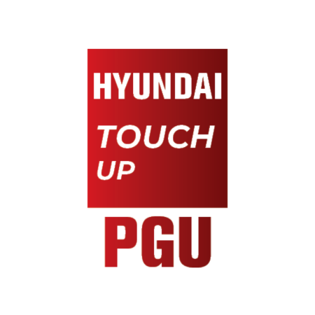 PGU - HYUNDAI